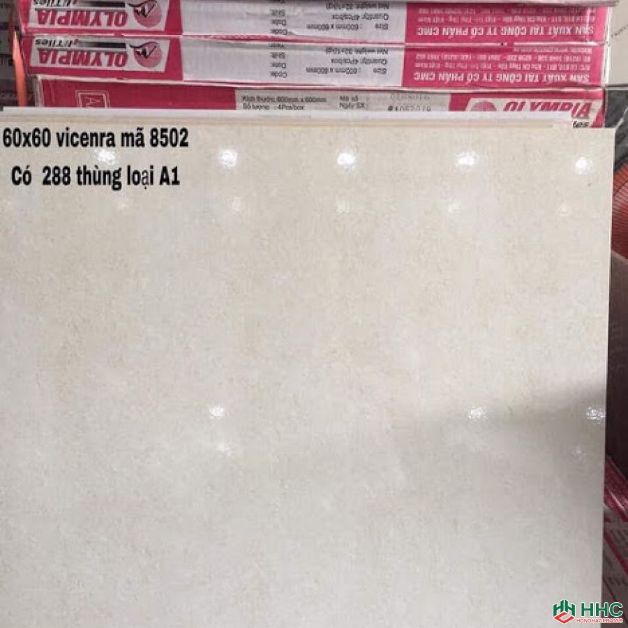 Gạch lát nền 60x60 bóng kiếng 8502